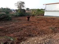  Commercial Land for Sale in Perla, Kasaragod
