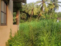  Residential Plot for Sale in Colva, South Goa, 