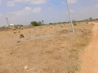  Residential Plot for Sale in Chengalpet, Chennai