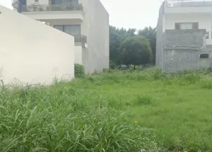  Residential Plot for Sale in Sector 115 Mohali