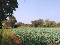  Agricultural Land for Sale in Kallehol, Belgaum