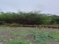  Residential Plot for Sale in Balicha, Udaipur