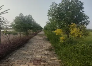 Residential Plot for Sale in Govardhan, Mathura