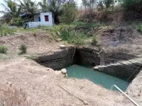  Agricultural Land for Sale in Sanarpatti, Dindigul