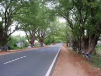 Agricultural Land for Sale in Uruli Kanchan, Pune