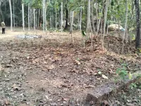  Residential Plot for Sale in Vellarikkundu, Kasaragod