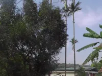 2 BHK Villa for Sale in Madikeri, Kodagu