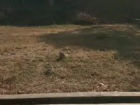 4 BHK Farm House for Sale in Takhatpur, Bilaspur