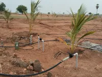 Agricultural Land for Sale in Akkaraipatti, Tiruchirappalli