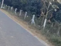 Agricultural Land for Sale in Behat, Saharanpur