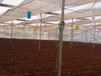  Agricultural Land for Sale in Madhugiri, Tumkur