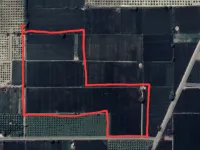  Agricultural Land for Sale in Abohar, Fazilka