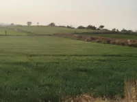  Agricultural Land for Sale in Raniwara, Jalor