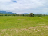 Agricultural Land for Sale in Badowala, Dehradun