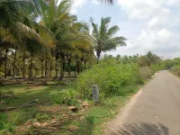  Agricultural Land for Sale in Kinathukadavu, Coimbatore