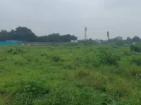  Agricultural Land for Sale in Vansda, Navsari