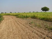  Industrial Land for Sale in Gidc, Vapi