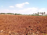  Agricultural Land for Sale in Dharampur, Valsad