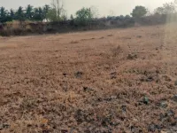  Residential Plot for Sale in Rasipuram, Namakkal