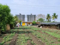Agricultural Land for Sale in Loni Kalbhor, Pune
