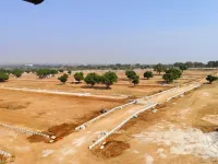  Agricultural Land for Sale in Mahabubnagar, Hyderabad