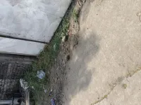  Commercial Land for Sale in Pardi, Nagpur