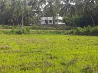  Agricultural Land for Sale in Chittur, Palakkad