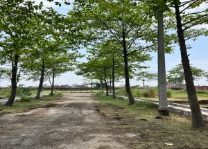 Residential Plot for Sale in Sarojini Nagar, Lucknow