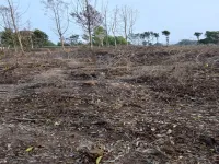  Agricultural Land for Sale in Madikeri, Kodagu