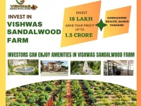  Agricultural Land for Sale in Pavagada, Tumkur