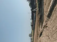  Residential Plot for Sale in Jewar, Gautam Buddha Nagar