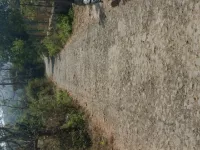  Agricultural Land for Rent in Chaul, Alibag, Raigad