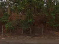  Agricultural Land for Sale in Talasari, Palghar