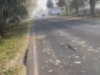  Agricultural Land for Sale in Siana, Bulandshahr