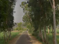  Agricultural Land for Sale in Mawana, Meerut