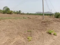 Agricultural Land for Sale in Narayangaon, Pune