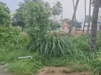  Agricultural Land for Sale in Gudiyatham, Vellore