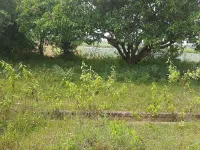  Residential Plot for Sale in Garag Road, Dharwad