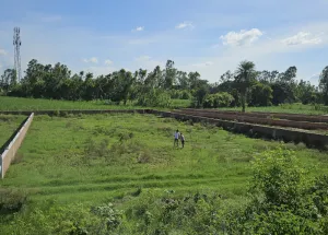 Agricultural Land for Sale in Najibabad, Bijnor