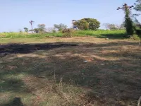  Agricultural Land for Sale in Somatane Phata, Pune