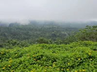  Agricultural Land for Sale in Anaikatti, Coimbatore