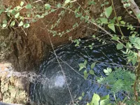  Agricultural Land for Sale in Sholayur, Palakkad