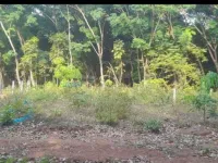  Residential Plot for Sale in Nilambur, Malappuram