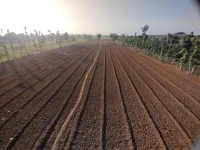  Agricultural Land for Sale in Udayarpalayam, Ariyalur