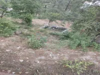 Agricultural Land for Sale in Fagu, Shimla