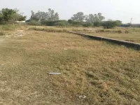  Residential Plot for Sale in Choubey Colony, Chhatarpur
