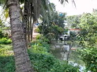  Agricultural Land for Sale in Diamond Harbour, South 24 Parganas