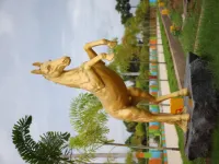 Residential Plot for Sale in Bheemunipatnam, Visakhapatnam