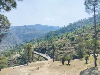  Residential Plot for Sale in Lamgara, Almora