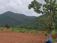  Agricultural Land for Sale in Mysore Road, Bangalore